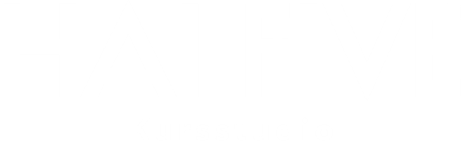 Hai-Five Logo